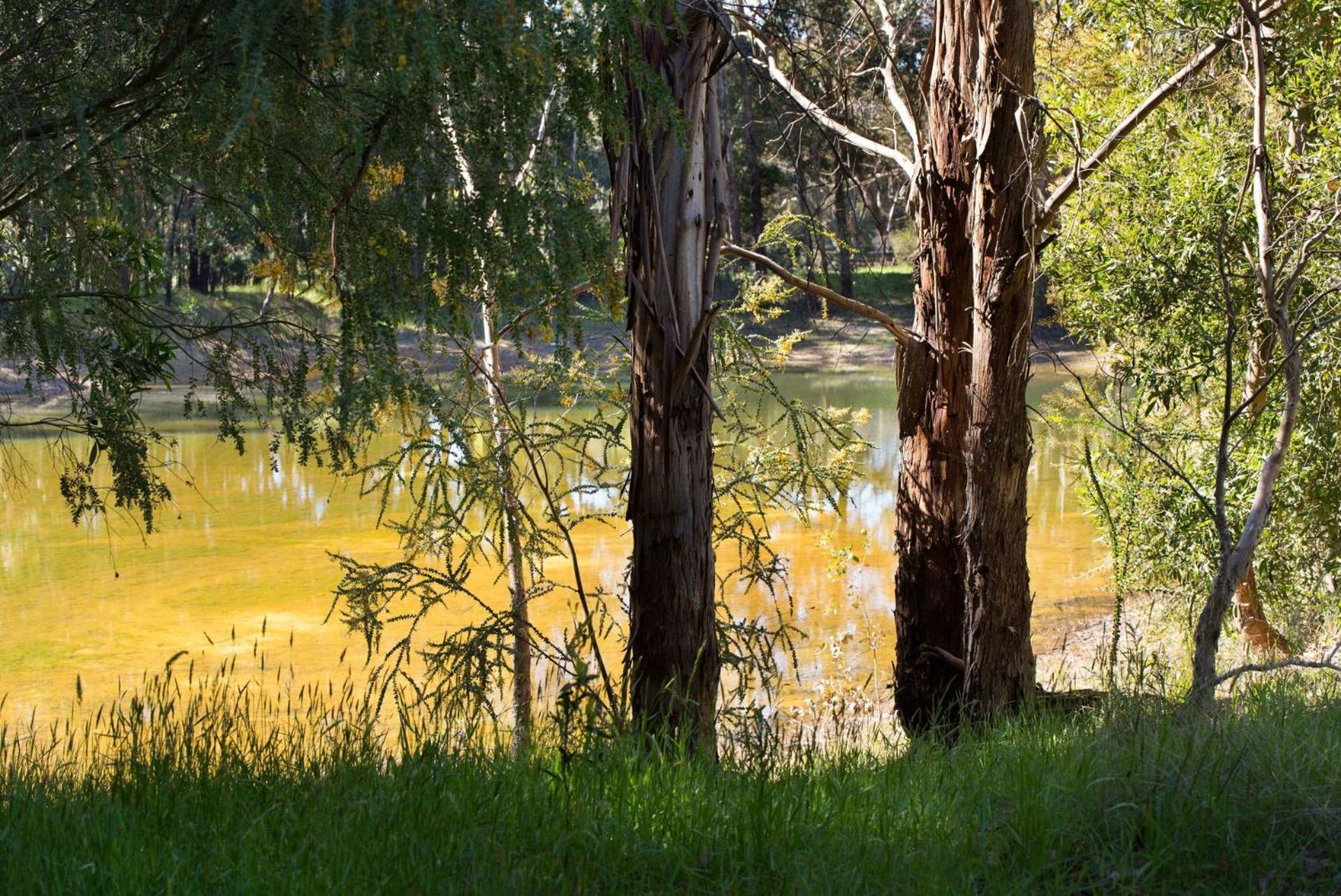 Bodhi Daylesford Villa Bagian luar foto