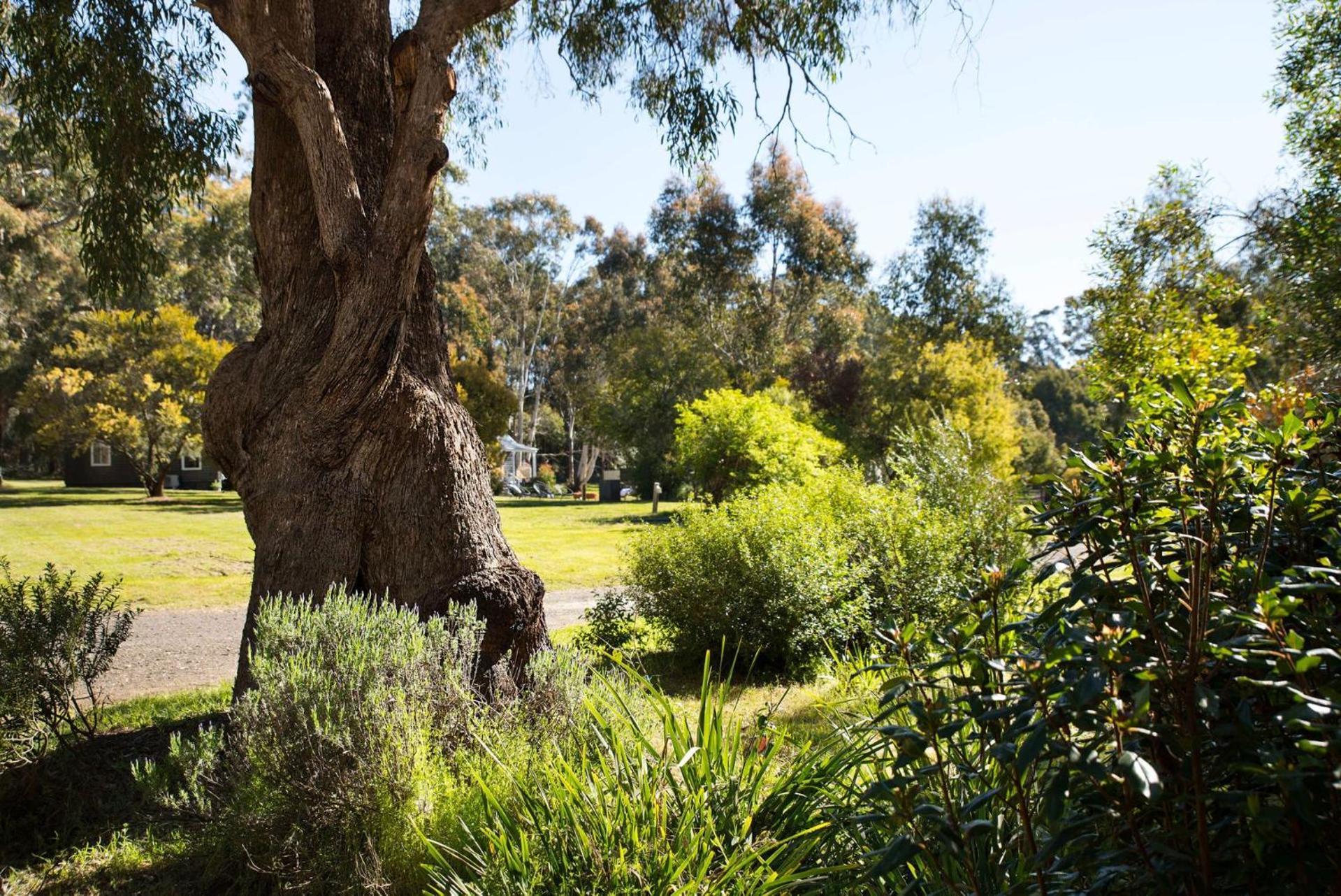 Bodhi Daylesford Villa Bagian luar foto