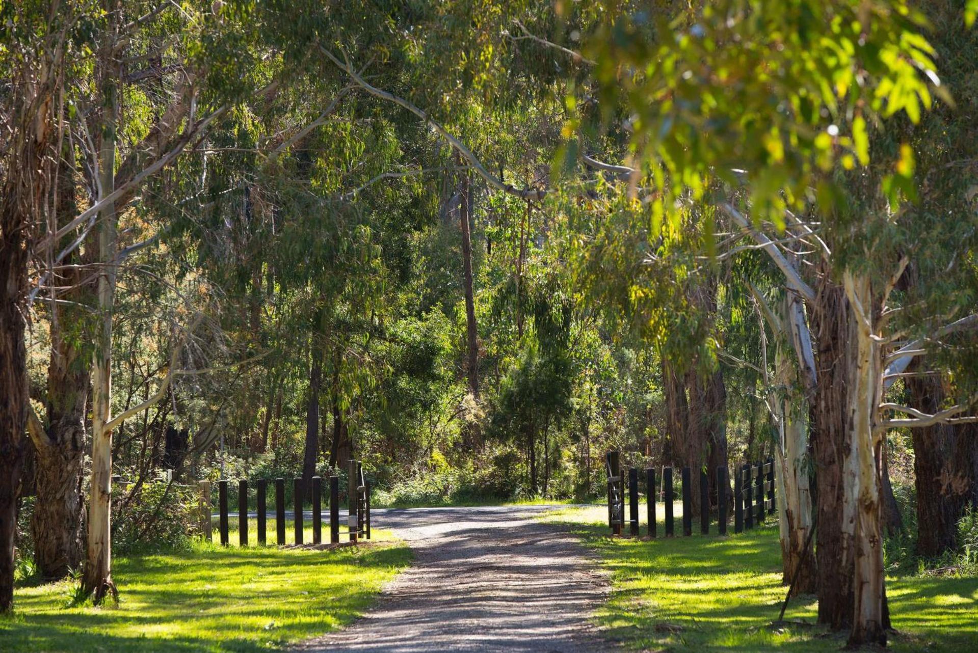 Bodhi Daylesford Villa Bagian luar foto